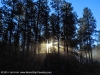 Foto Friday - Custer State Park, Black Hills, South Dakota, USA