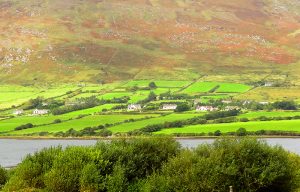 farm houses on the Ring of Kerry in Ireland