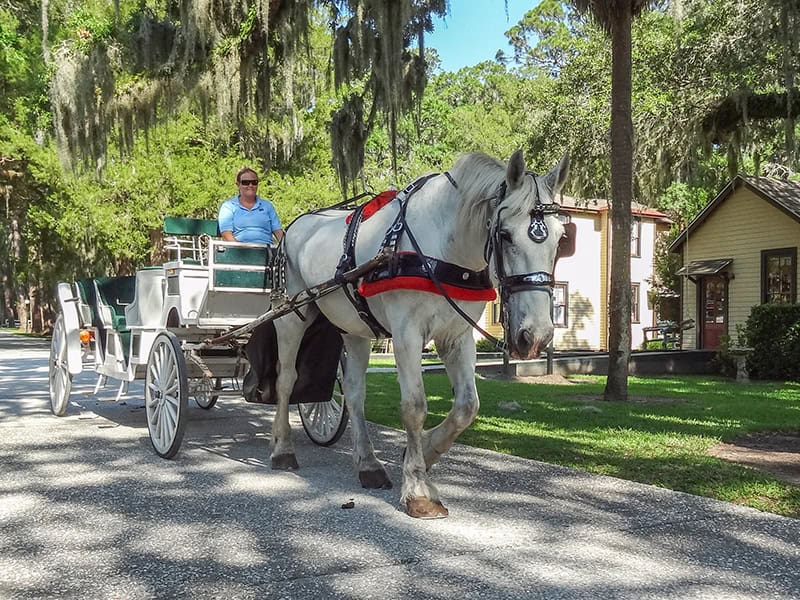 a horse-drawn carriage on the Golden Isles of Georgia