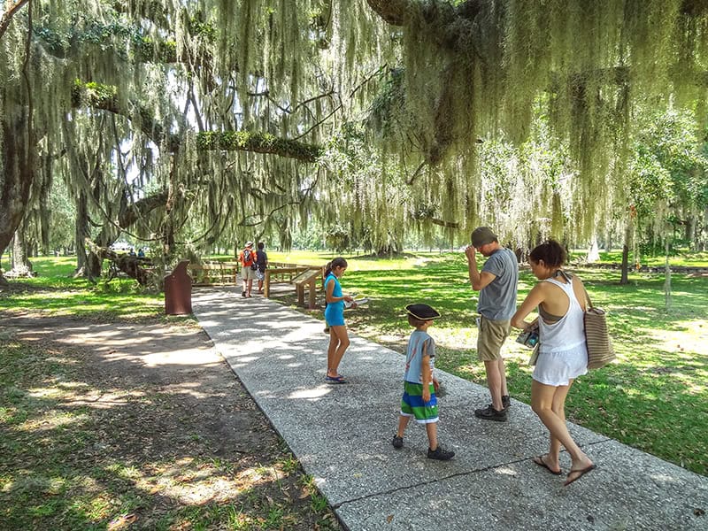 a family walking under old oak trees in a park