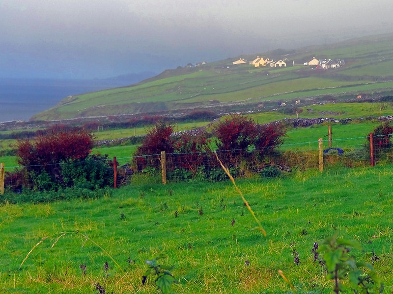 houses in a field - Killarney - hotels in Dingle