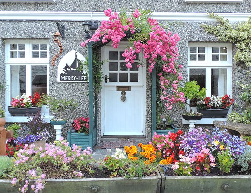 colorful flowers outside a B&B in Polperro - one of the places to visit in cornwall