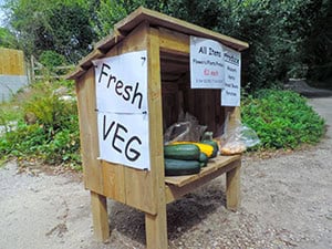 A country farm stand near Falmouth -- one of the places to visit in Cornwall