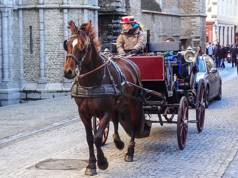 a woman on a horse-drawn carriage during November, on the the best times to visit Bruges