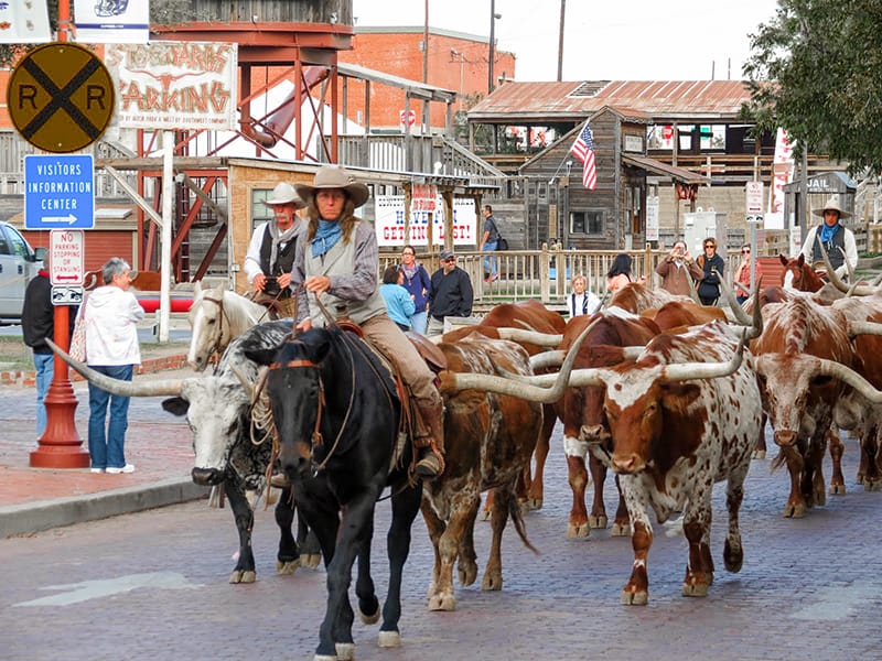 Cattle drive bbq deer park tx, Cattle Drive BBQ, Deer Park