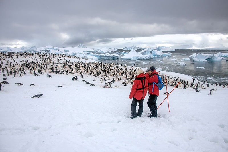 Expedition in Antarctica - the Viking Octantis – NeverStopTraveling