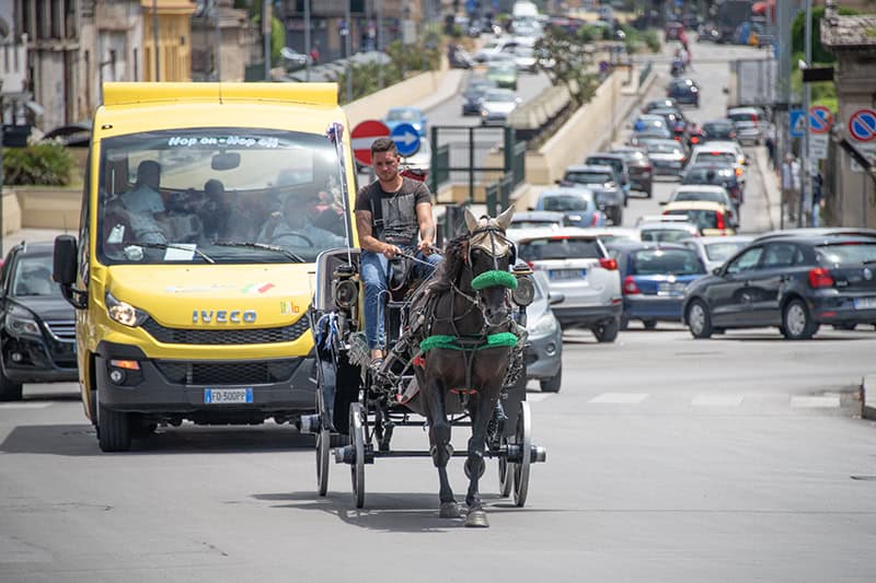a man on a horse cart in heavy traffic