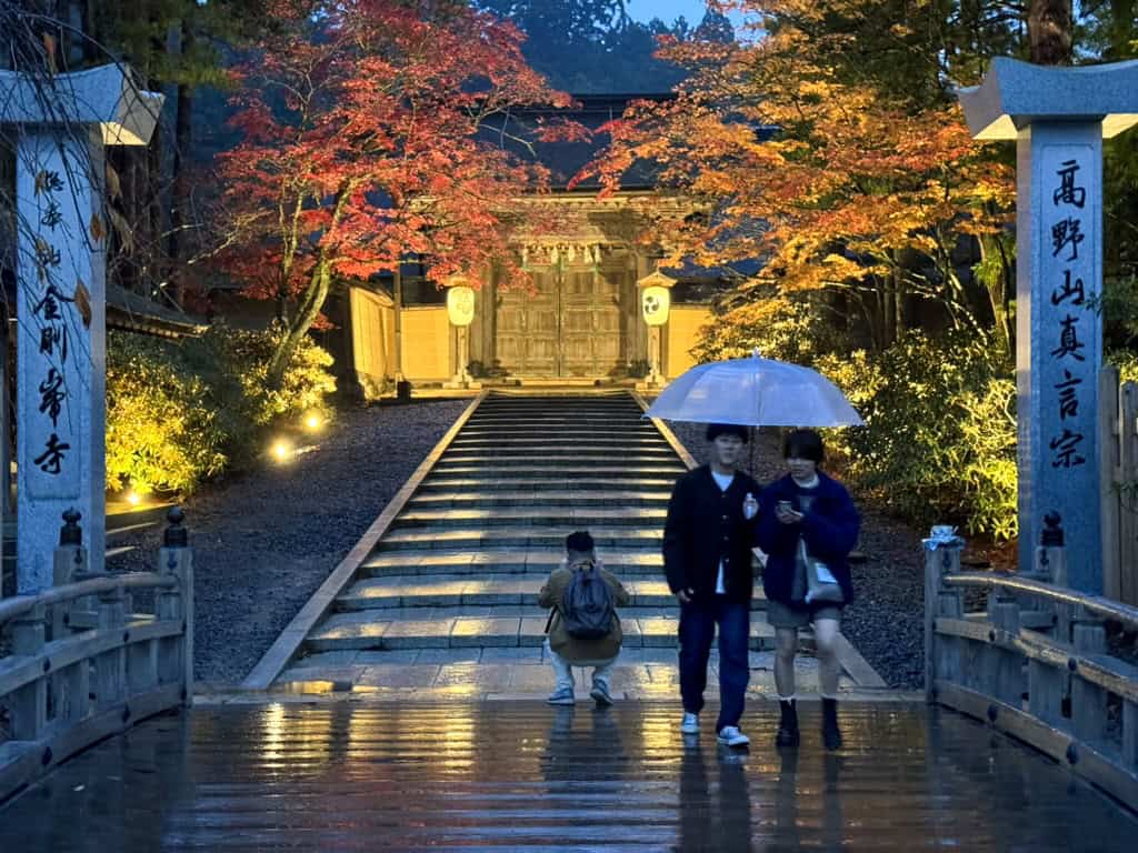 a couple with an umbrella walking past trees and a building lit up with lights