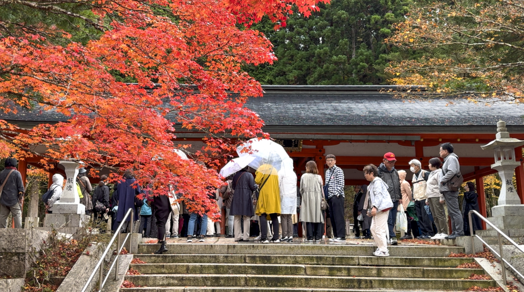 a tour group by a bright red tree in koyasan japan