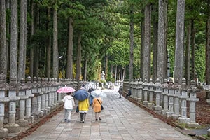 people with umbrellas walking along a wide path in koyasan japan