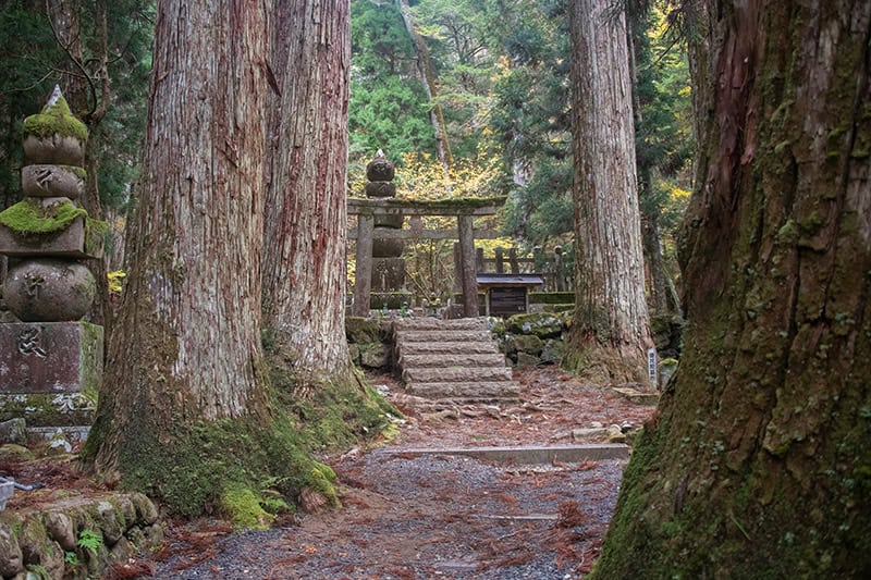 a bridge in a forest in koyasan japan