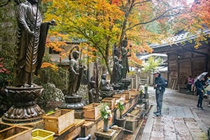 a man looking at statues beneath brightly colored tree in koyasan japan