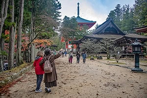 two woman looking a a pagoda