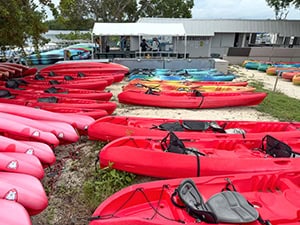 colorful kayaks on a lawn seen in a bar during a road trip in the Florida Keys