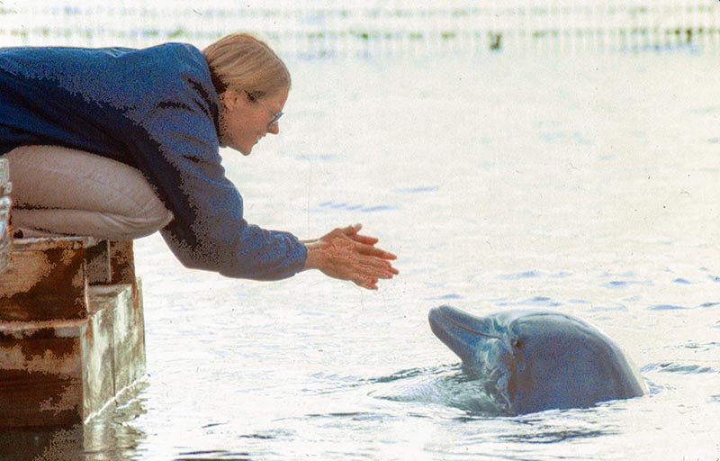 a woman looking at a dolphin