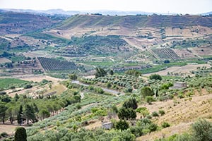 a valley with many farms